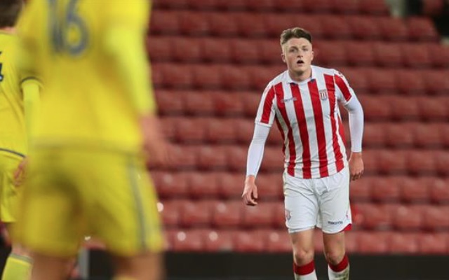 Giant Stoke City signing finally makes Potters debut